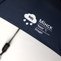 Зонт с печатью логотипа. Шелкография.